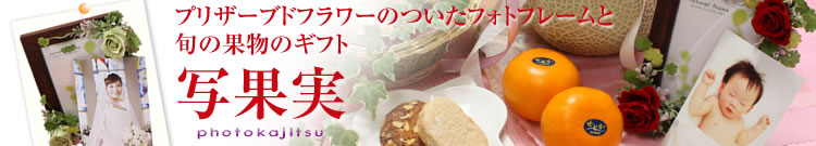 �v���U�[�u�h�t�����[�̂����t�H�g�t���[���Ƃ��َq�ƃt���[�c�̃M�t�g