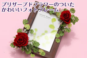 �v���U�[�u�h�t�����[�t���̃t�H�g�t���[��
