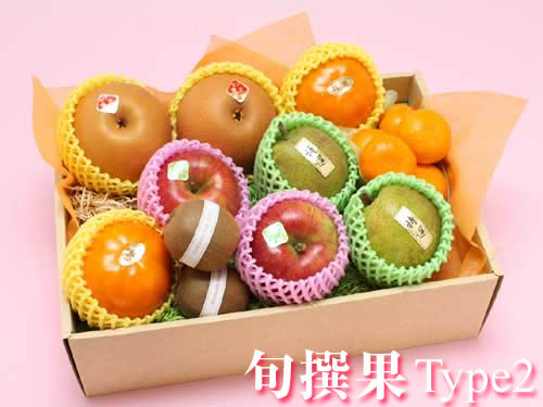 旬撰果タイプ2