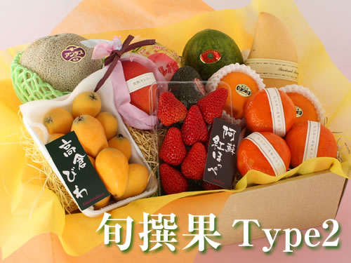 旬撰果タイプ2