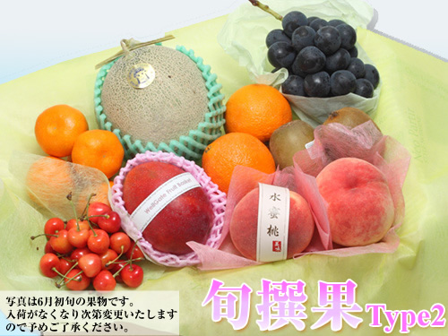 旬撰果タイプ2