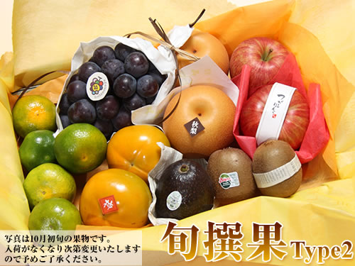 旬撰果タイプ2