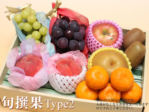 旬撰果タイプ2