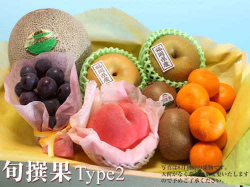 旬撰果タイプ2